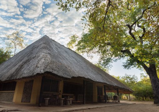 Large Bush Villa